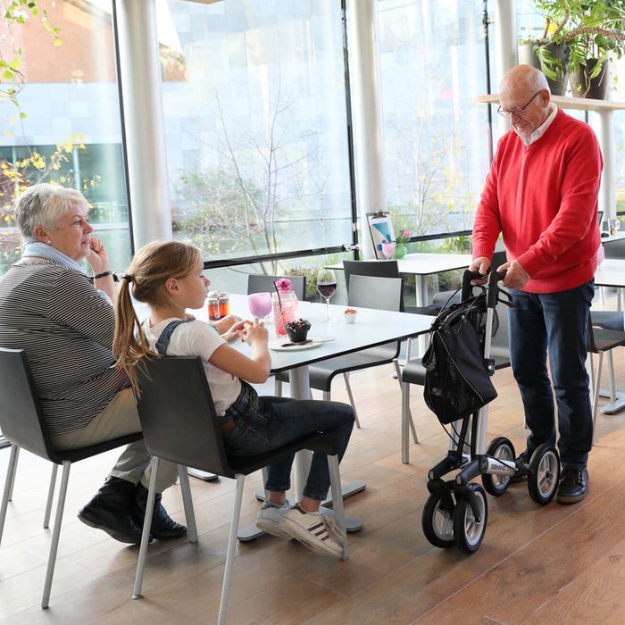 Product Image of Sunrise Medical Rollator Gemino 30 Comfort, gefederter Gehwagen für drinnen und draußen, Korb 10 kg, Stoßdämpfung