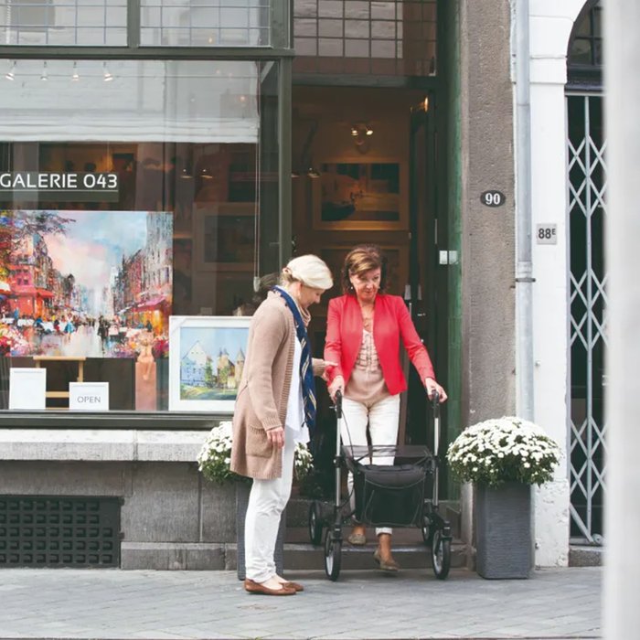 Product Image of Sunrise Medical Outdoor-Rollator Gemino 60, All-Terrain-Rollator für draußen, XXL-Räder, wetterfeste Tasche, Silbergrau